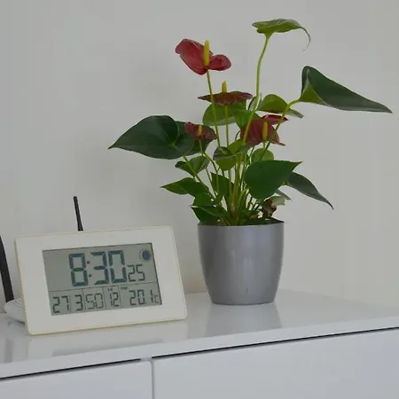 Pod Brzozami Apartment