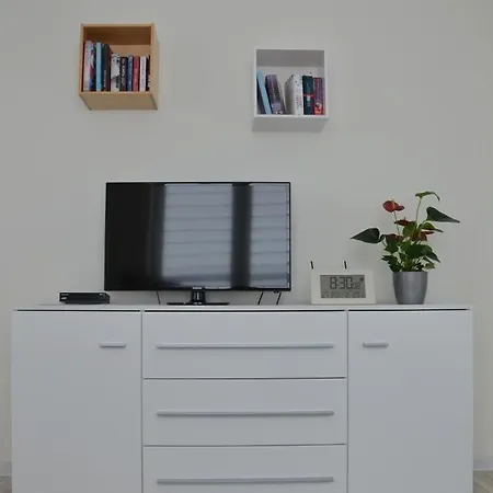 Pod Brzozami Apartment *