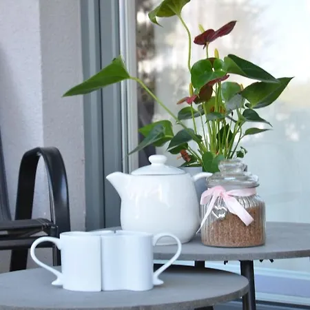 Apartment Pod Brzozami *