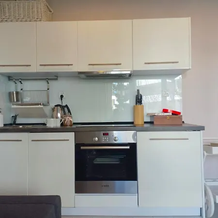 Apartment Pod Brzozami *